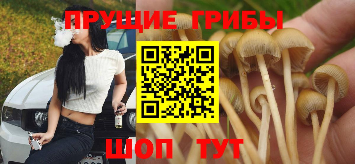 Псилоцибиновые грибы MAGIC MUSHROOMS Димитровград