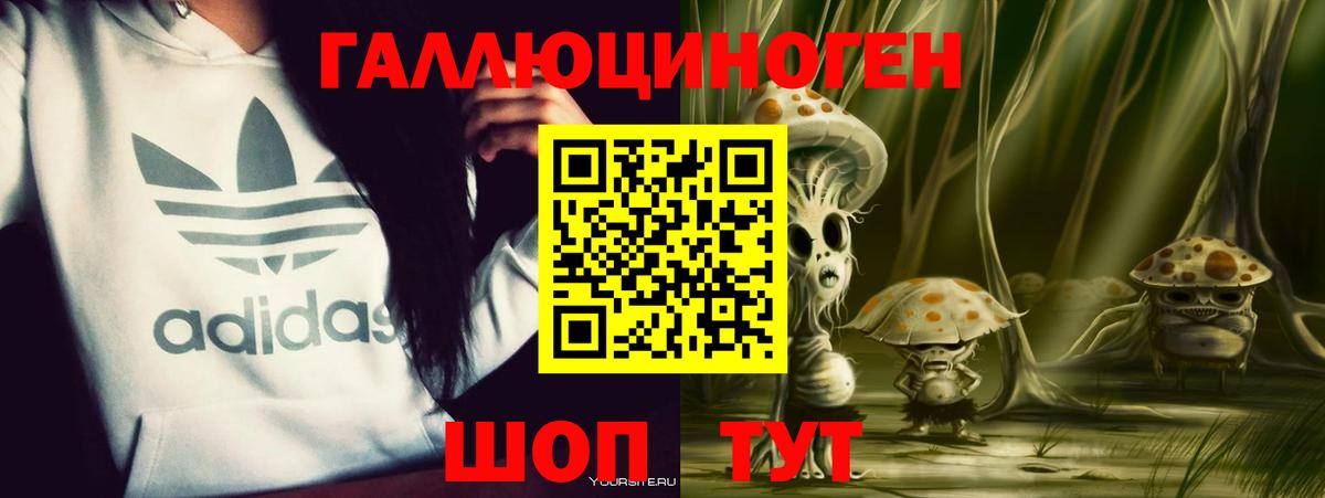 Галлюциногенные грибы мухоморы  Вход с VPN  Димитровград 